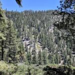 Saxton Camp