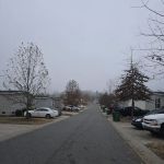Meadowbrook