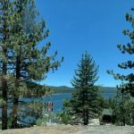 Big Bear