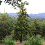 MCCS Big Bear Recreational Facility