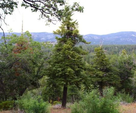 MCCS Big Bear Recreational Facility