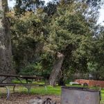 Paradise Campground