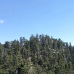 Black Mountain Group Campground