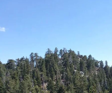 Black Mountain Group Campground