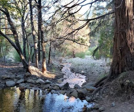 South Fork Family Campground