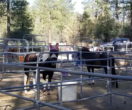 Heart Bar Equestrian Group Campground