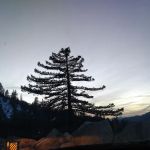 Coon Creek Snowmobile Route 1N02 (recgovnpsdata)
