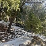 Diamonds Ranch