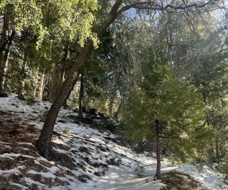 Diamonds Ranch