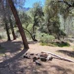 Lost Valley Camp