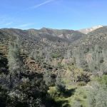 Potrero Camp