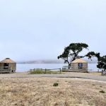 Lupine Yurt