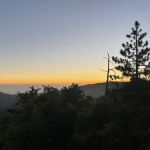 South Ridge Yellow Post