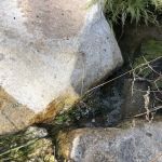 Pipes Campground