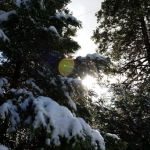 Crestline Group Campground