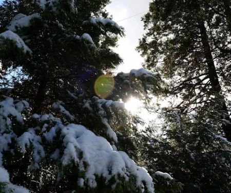 Crestline Group Campground