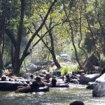 La Jolla Indian Campground