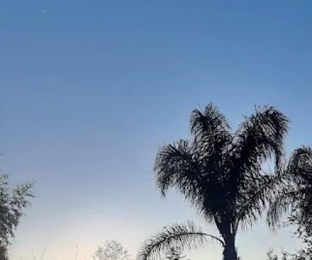 Luna Bleu