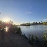 Guajome Regional Park campground