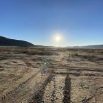 North Joshua Tree BLM