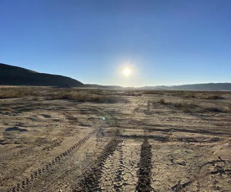 North Joshua Tree BLM