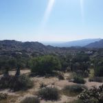 Culp Valley Primitive Campground