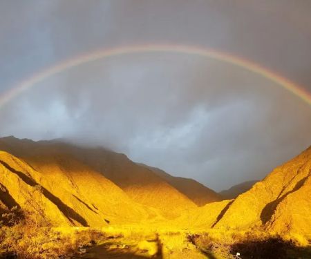 Anza-Borrego State Park Campground