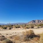 Coyote Canyon campsite