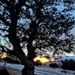Ma Tar Awa Viejas Camper Park