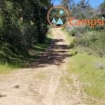 Queen Bee Campground