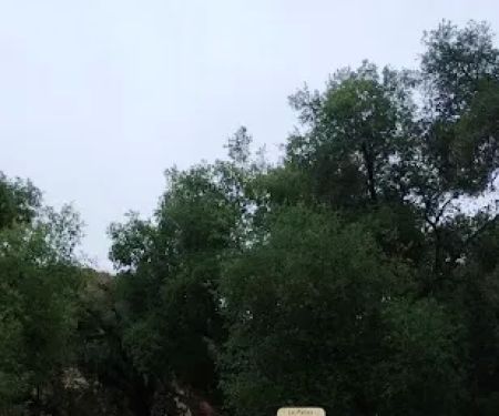 La Panza Campground