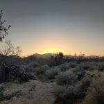 Yaqui Wash Primitive Campground