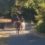 Green Valley Horse Camp