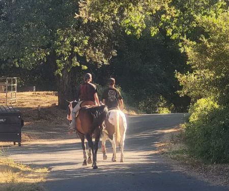 Green Valley Horse Camp