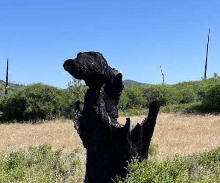 Paso Picacho Campground