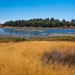 West Shore