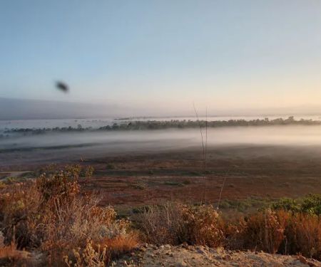 Tijuana River Valley Campground