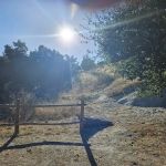 Pavo Group Campsite