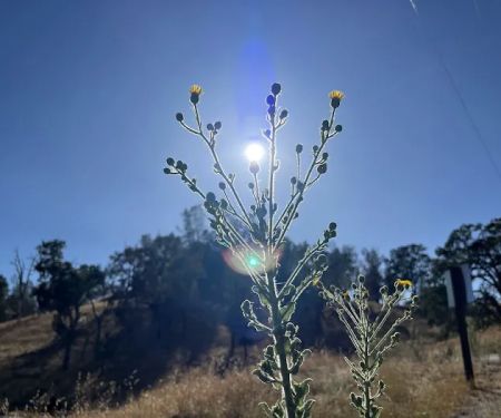 Santa Margarita Lake Recreation & Natural Area