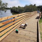 Oceano Campground