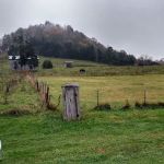 The Meadows