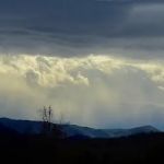 Evergreens RV Park