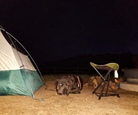 El Prado Group Campground - Big Sage