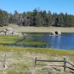 El Prado Group Campground