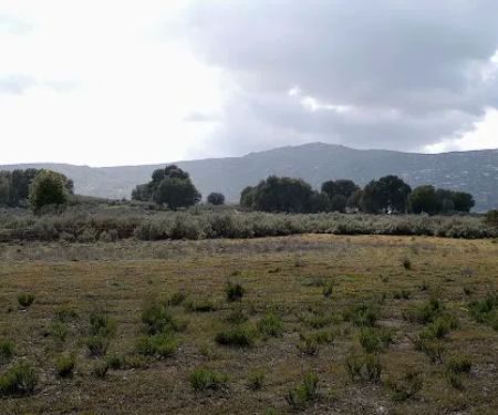 Sagebrush Safari Campsite