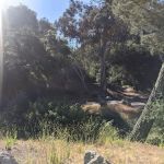 Cerro Alto Campground