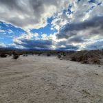 Hollywood-Vine Campsite