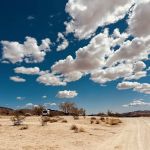 Cottonwood Springs Road (J.T.)