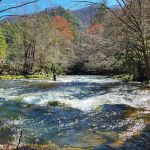 Twin Forks RV park