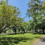 Sycamore Ranch